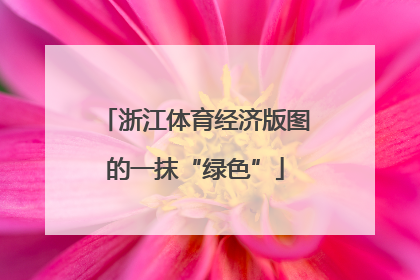 浙江体育经济版图的一抹“绿色”