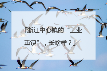 浙江中心镇的“工业重镇”，长啥样？
