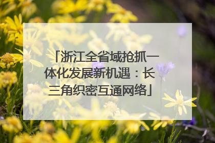 浙江全省域抢抓一体化发展新机遇：长三角织密互通网络