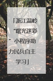 浙江温岭“曙光迷彩”小程序助力民兵自主学习