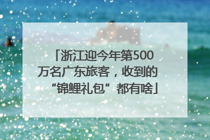 浙江迎今年第500万名广东旅客，收到的“锦鲤礼包”都有啥