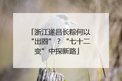 浙江遂昌长粽何以“出圈”？“七十二变”中探新路