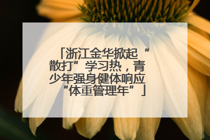 浙江金华掀起“散打”学习热，青少年强身健体响应“体重管理年”