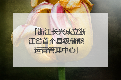 浙江长兴成立浙江省首个县级储能运营管理中心