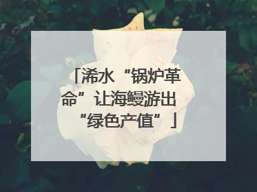 浠水“锅炉革命”让海鳗游出“绿色产值”