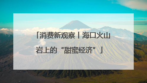 消费新观察丨海口火山岩上的“甜蜜经济”