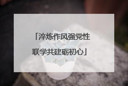 淬炼作风强党性 联学共建砺初心