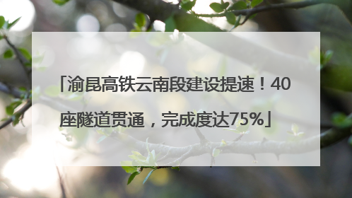渝昆高铁云南段建设提速！40座隧道贯通，完成度达75%