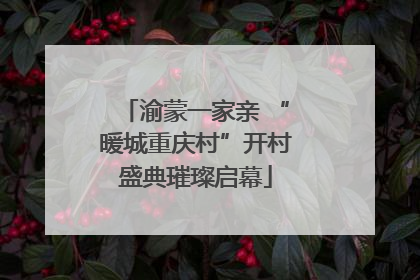 渝蒙一家亲 “暖城重庆村”开村盛典璀璨启幕