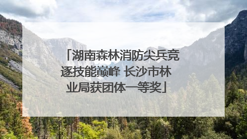 湖南森林消防尖兵竞逐技能巅峰 长沙市林业局获团体一等奖