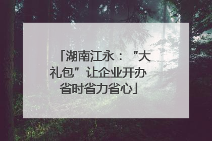 湖南江永：“大礼包”让企业开办省时省力省心