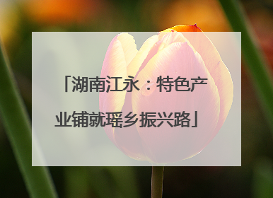 湖南江永：特色产业铺就瑶乡振兴路