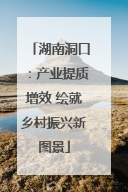 湖南洞口：产业提质增效 绘就乡村振兴新图景