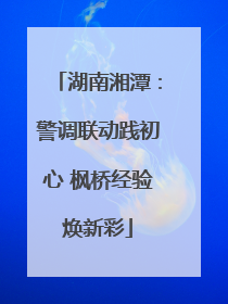 湖南湘潭：警调联动践初心 枫桥经验焕新彩