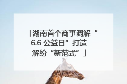湖南首个商事调解“6.6 公益日”打造解纷“新范式”