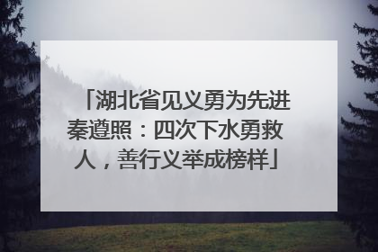 湖北省见义勇为先进秦遵照：四次下水勇救人，善行义举成榜样