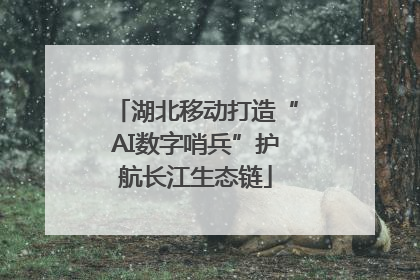湖北移动打造“AI数字哨兵”护航长江生态链