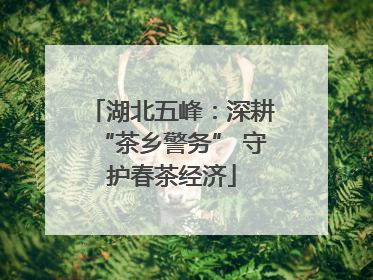湖北五峰：深耕“茶乡警务” 守护春茶经济