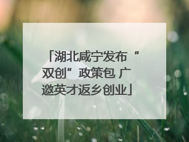湖北咸宁发布“双创”政策包 广邀英才返乡创业