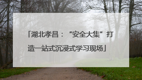 湖北孝昌：“安全大集”打造一站式沉浸式学习现场