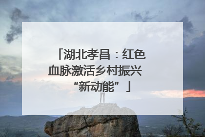 湖北孝昌：红色血脉激活乡村振兴“新动能”