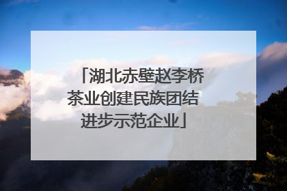 湖北赤壁赵李桥茶业创建民族团结进步示范企业