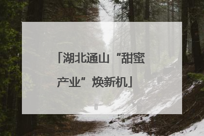 湖北通山“甜蜜产业”焕新机