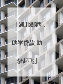 湖北郧西：助学贷款 助梦起飞