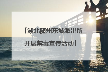 湖北随州东城派出所开展禁毒宣传活动