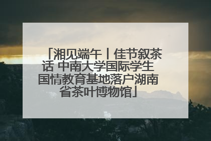 湘见端午丨佳节叙茶话 中南大学国际学生国情教育基地落户湖南省茶叶博物馆