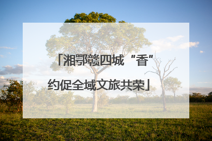 湘鄂赣四城“香”约促全域文旅共荣