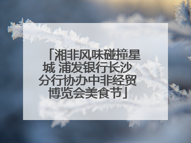 湘非风味碰撞星城 浦发银行长沙分行协办中非经贸博览会美食节