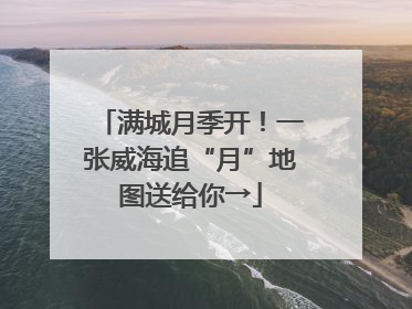 满城月季开！一张威海追“月”地图送给你→