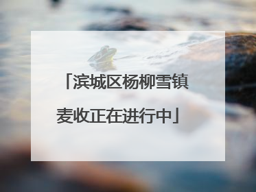 滨城区杨柳雪镇麦收正在进行中