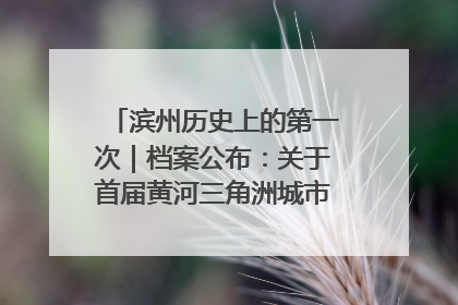 滨州历史上的第一次｜档案公布：关于首届黄河三角洲城市经济博览会暨发展论坛情况的总结报告