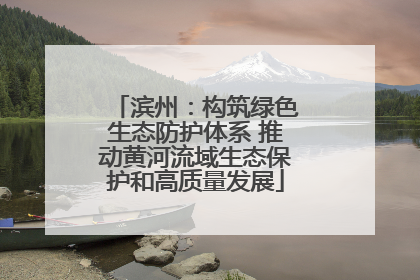 滨州：构筑绿色生态防护体系 推动黄河流域生态保护和高质量发展