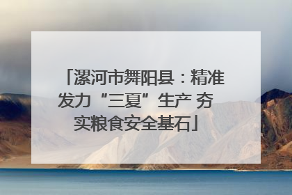 漯河市舞阳县：精准发力“三夏”生产 夯实粮食安全基石