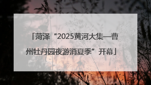 菏泽“2025黄河大集—曹州牡丹园夜游消夏季”开幕