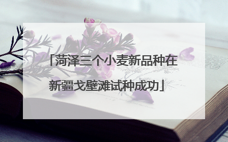 菏泽三个小麦新品种在新疆戈壁滩试种成功