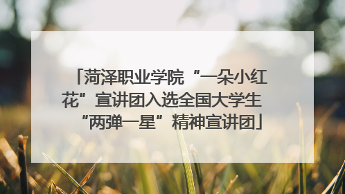 菏泽职业学院“一朵小红花”宣讲团入选全国大学生“两弹一星”精神宣讲团