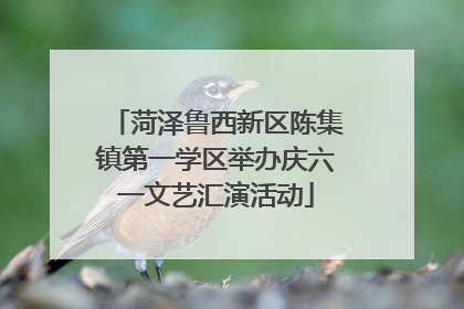 菏泽鲁西新区陈集镇第一学区举办庆六一文艺汇演活动