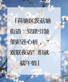 荷塘区茨菇塘街道：党建引领架起连心桥，“双联夜访”织就端午情