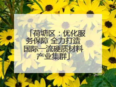 荷塘区：优化服务保障 全力打造国际一流硬质材料产业集群