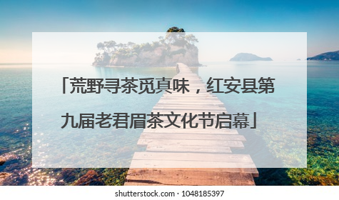 荒野寻茶觅真味，红安县第九届老君眉茶文化节启幕
