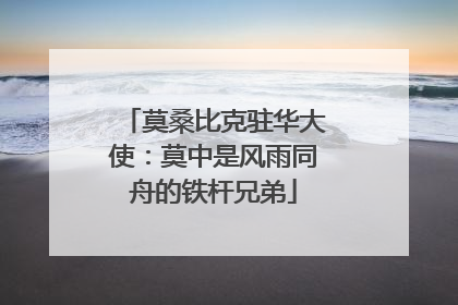 莫桑比克驻华大使：莫中是风雨同舟的铁杆兄弟