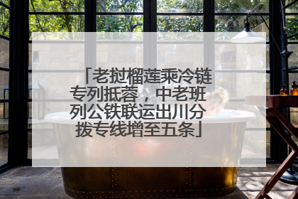 老挝榴莲乘冷链专列抵蓉，中老班列公铁联运出川分拨专线增至五条