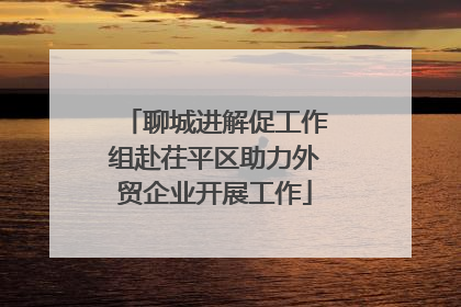 聊城进解促工作组赴茌平区助力外贸企业开展工作