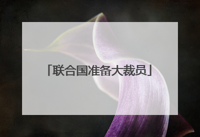 联合国准备大裁员