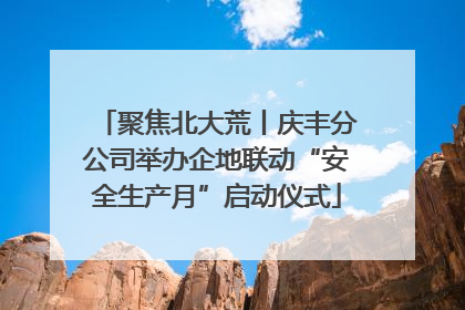 聚焦北大荒丨庆丰分公司举办企地联动“安全生产月”启动仪式