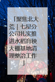 聚焦北大荒｜七星分公司扎实推进水稻育秧大棚基地清理整治工作